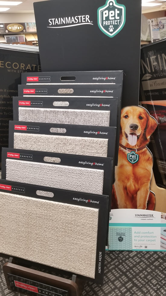 Stainmaster Petprotect Carpet Colors / Dixie Home Carpets Affordable
